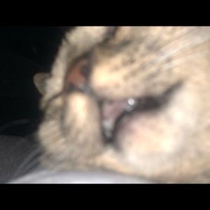 Meet your Posher, Aiden